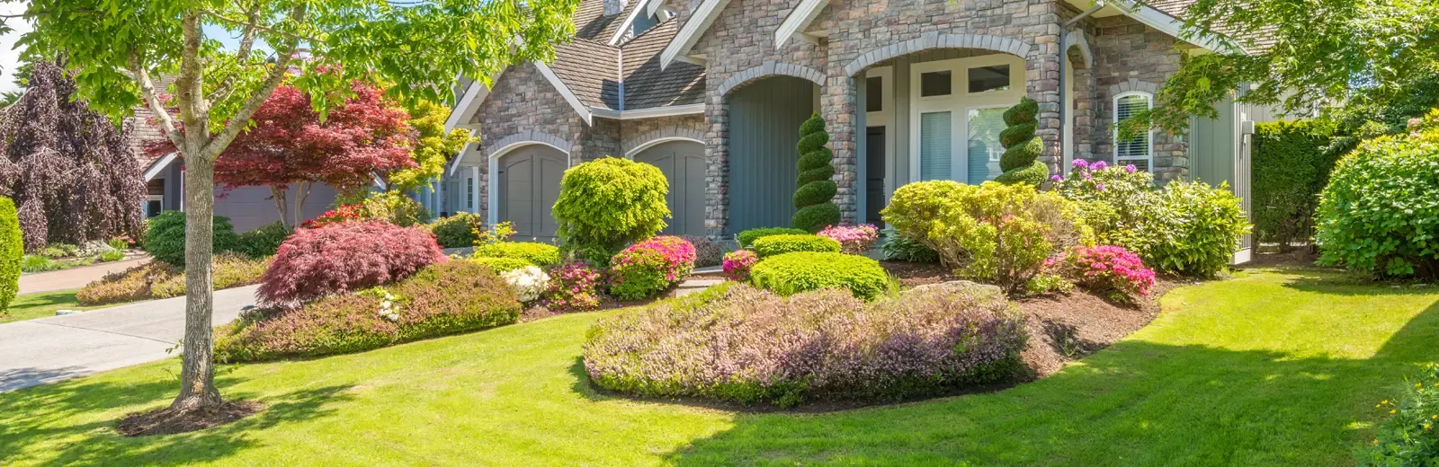 house with nice landscaping