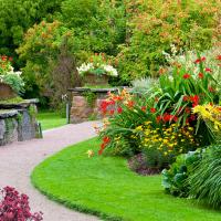 Green, Thriving Landscape